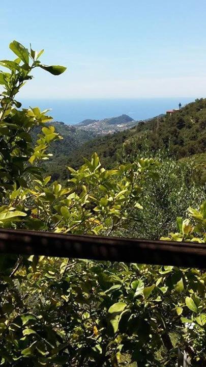 Casa Cassini, Negi Fumei Bordighera Exterior foto