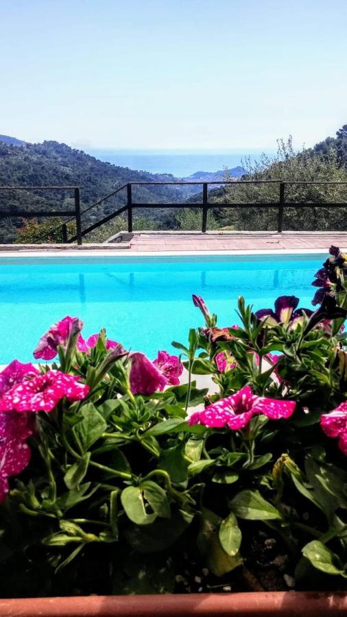 Casa Cassini, Negi Fumei Bordighera Exterior foto